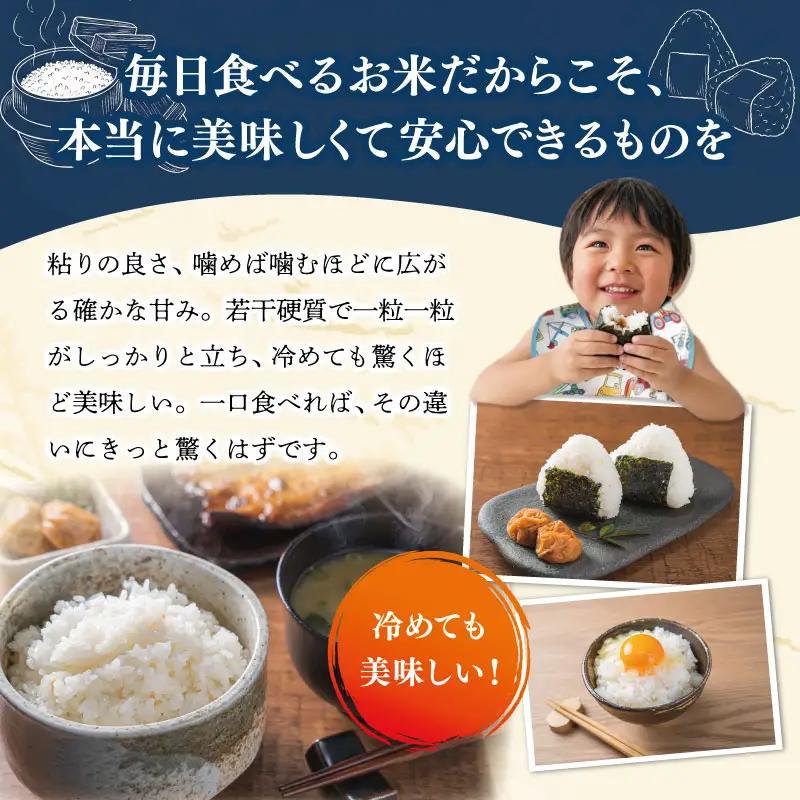 明和町産こしひかり 明和つじ農園特選米 10kg tn1