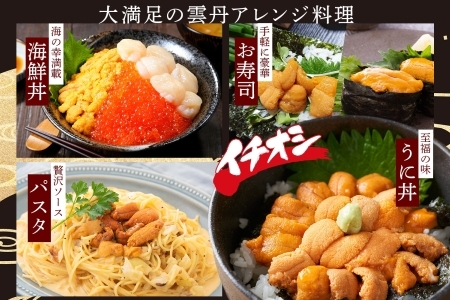 2134. 無地熨斗 ウニ チリ産 冷凍 うに 海鮮 ウニ 200g 4人前 雲丹 丼 海鮮 丼 セット うに 熨斗 のし 名入れ不可 送料無料 北海道 弟子屈町