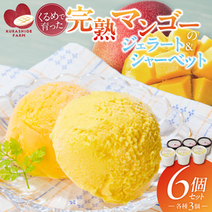 【2027年7月お届け】完熟マンゴーのジェラート＆シャーベット130ml×6個入り_完熟 マンゴー ジェラート シャーベット セット 130ml × 6個 各3個 高糖度 果肉 使用 地植栽培 アイス デザート ご褒美 冷凍 トロピカルフルーツ 果物 国産 倉重農園 グルメ お取り寄せ お取り寄せグルメ 福岡県 久留米市 送料無料 〔Dw012〕