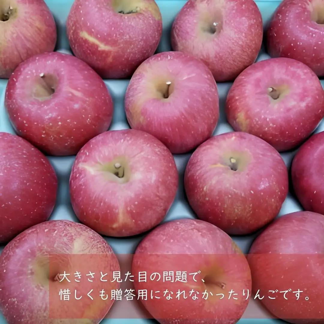 KR18 サンふじ 家庭用 小玉 約5kg（17～20玉） 長野県松川町産／11月下旬頃～配送予定//長野県 南信州 リンゴ 林檎 ふじ さんふじ 小玉サイズ 訳あり 自家用 農家直送 農家支援 産地