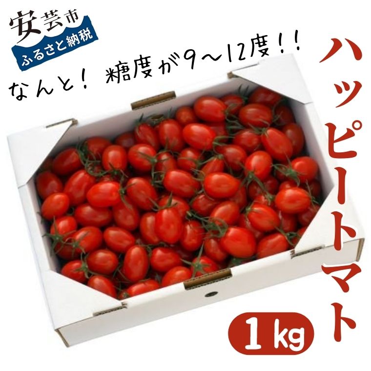 【ふるさと納税】＜先行受付開始＞ハッピートマト1kg