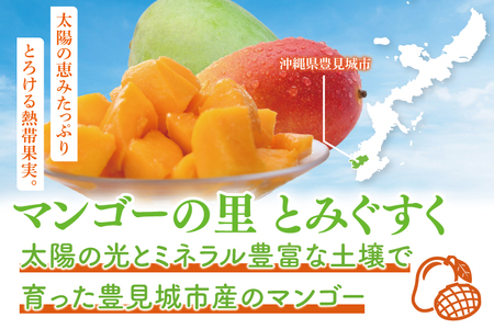 【2026年6月より順次発送】【先行予約】赤秀アーウィンマンゴー 3～4玉(約1.5kg)(化粧箱)｜沖縄県 豊見城市 マンゴー アーウィンマンゴー フルーツ 果物 くだもの おきなわマンゴー ギフト