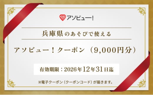 【兵庫県】アソビュー！ふるさと納税クーポン（9,000円分）　