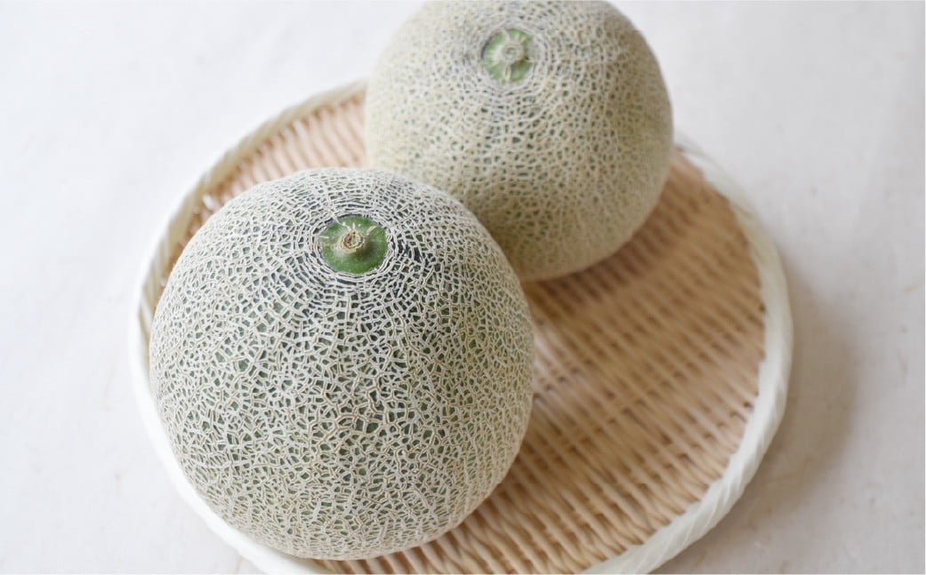 赤玉レノンスター  2玉【2026年5月上旬発送開始】