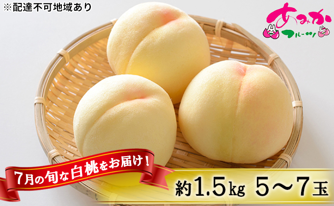 桃 2027年 先行予約 7月の旬な 白桃 をお届け！約1.5kg 5～7玉 もも モモ 岡山県 赤磐市産 国産 フルーツ 果物 ギフト あみかフルーツ 岡山の桃 旬のフルーツ 柔らかい ジューシー 産地直送 旬の桃 