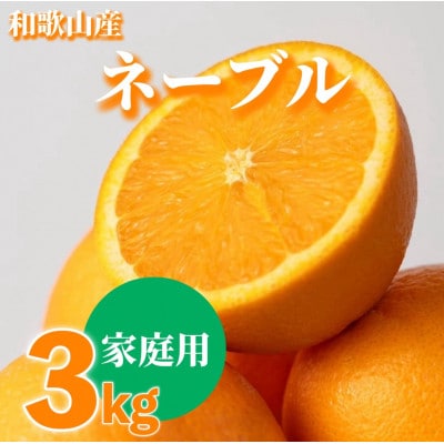 【2027年1月上旬より順次発送】和歌山県産　ネーブル　3kg家庭用(サイズ混合)【まごころ手選別】【1746311】
