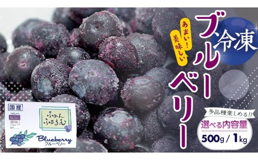 
                  茨城県産 冷凍 ブルーベリー 合計 500g ～ 1kg (250g×2袋／4袋)【2026年7月中旬から発送開始】 多品種 果実 果物 くだもの フルーツ おやつ ブルーベリー ベリー ジャム 小分け [DZ003sa00]
                