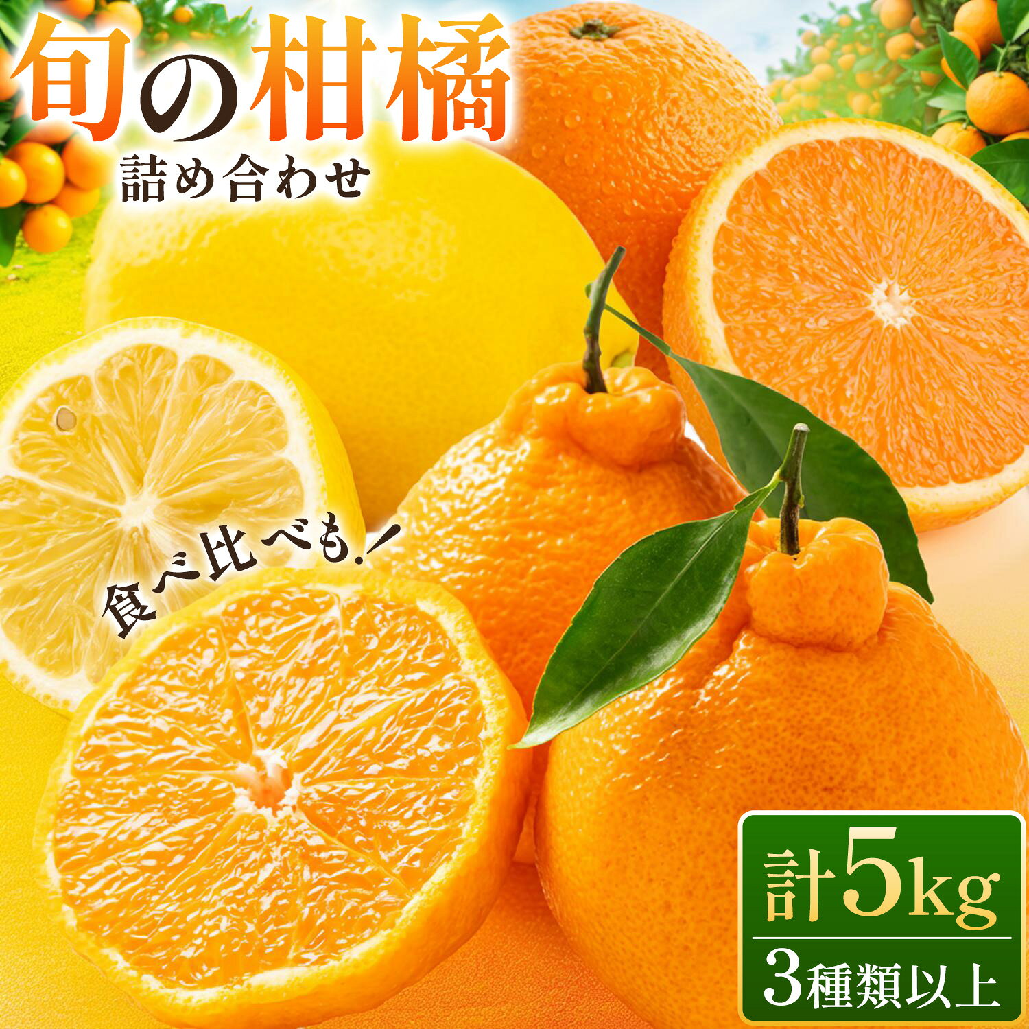 【ふるさと納税】みかん 柑橘 旬の柑橘 詰め合わせセット 5kg 3種類以上 どの坂果樹園 《2027年3月上旬-3月下旬頃出荷》 和歌山県 日高町 しらぬい はるか 旬 果物 フルーツ 柑橘 不知火 レモン 清見 はるみ 食べ比べ