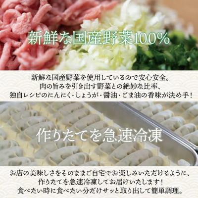 ふるさと納税 蒲郡市 千賀商店　特製餃子　2箱セット(48個入)_【G0704】 |  | 02