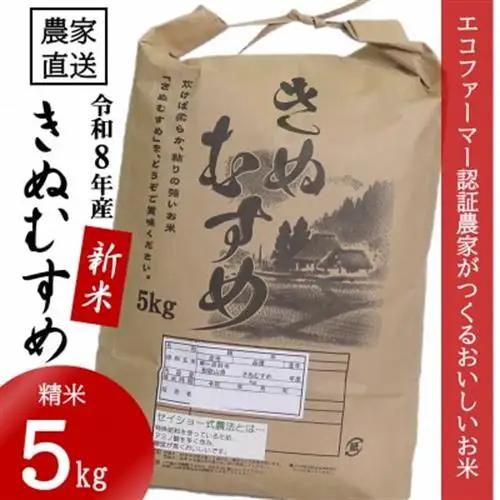 ★令和8年産 新米★ きぬむすめ 精米 5kg(令和8年10月～順次発送/2026年産)【1585419】