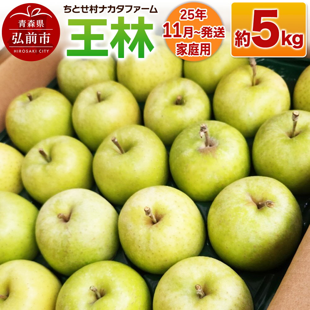【ふるさと納税】【レビューキャンペーン】【25年11月発送】りんご【家庭用】王林 約5kg