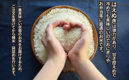 数量限定 【令和7年産先行予約】 山形県庄内産 小池半左衛門のお米 はえぬき 精米 10kg (5kg×2袋)　