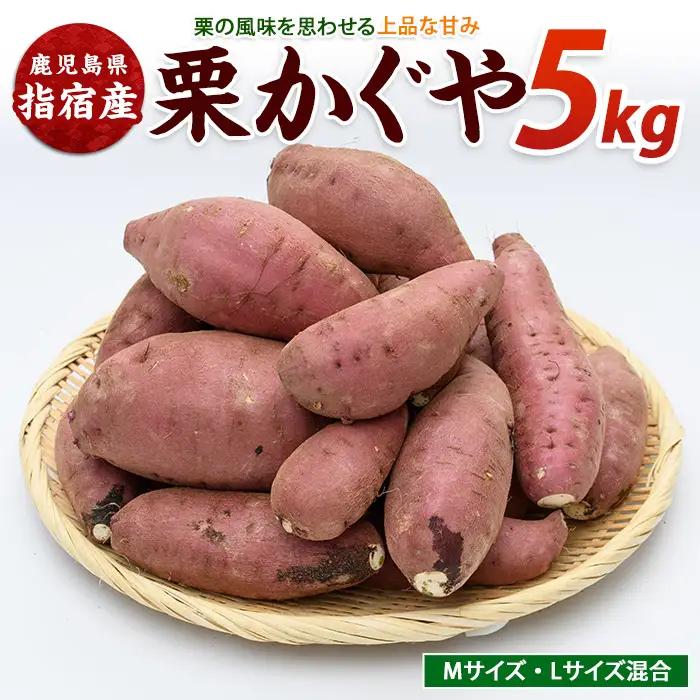 さつまいも 栗かぐや 約5kg サツマイモ IB084-003