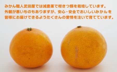 訳あり 夢オレンジ 3kg 訳あり まどんな みかん 愛果 28号  愛媛  みかん職人武田屋 国産 大小 ﾐｯｸｽｻｲｽﾞ 訳あり ﾏﾄﾞﾝﾅ ﾐｶﾝ 訳あり ﾏﾄﾞﾝﾅ ﾐｶﾝ 訳あり ﾏﾄﾞﾝﾅ