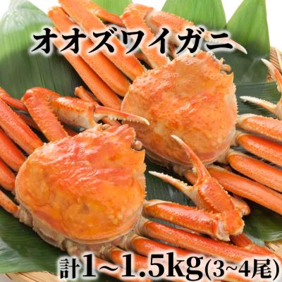ふるさと納税 紋別市 北海道産　ボイルオオズワイガニ姿　計1〜1.5kg内外(3〜4尾)