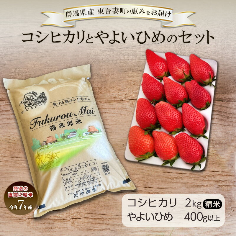 【ふるさと納税】コシヒカリ 2kg と やよいひめ 1トレー（400g以上）セット お米 白米 ライス ご飯 ブランド米 銘柄米 お弁当 おにぎり いちご ストロベリー 果物 くだもの フルーツ 群馬県 東吾妻町