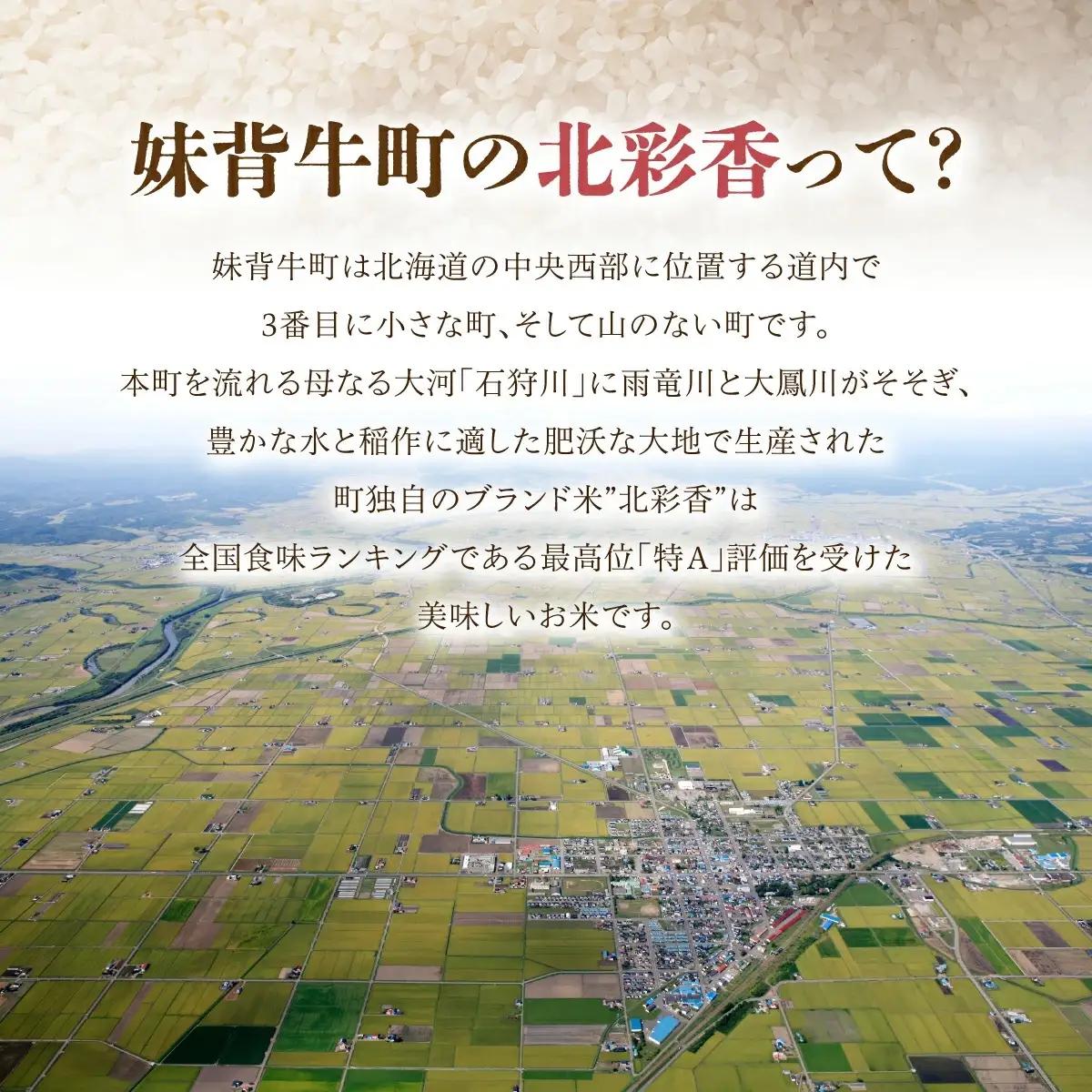 令和8年産 ゆめぴりか 白米 10kg 2027年1月発送 | こめ コメ