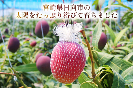 【2027年夏発送】訳あり 完熟 マンゴー 約2kg