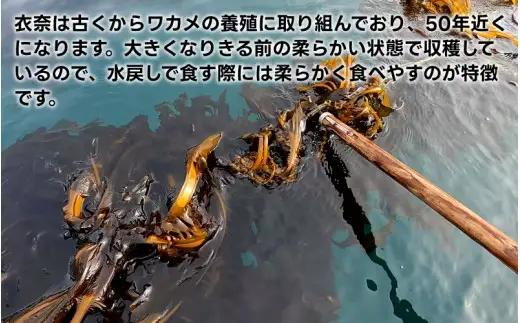 【来年度！先行予約受付】紀州衣奈産乾燥わかめ 150g×3パック（2027年産）【sml102F】
