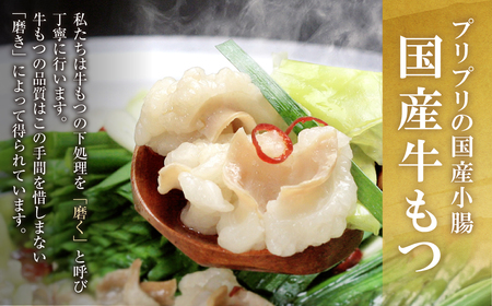 W69-01 おどろきっちん 博多もつ鍋セット(九州醤油仕立て) 2～3人前