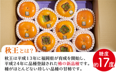 【ふるさと納税】【10月中旬より発送】福岡産ブランド柿 秋王 約1.5kg（4-6玉）＜南国フルーツ株式会社＞那珂川市 柿 秋王 ブランド フルーツ 果物 九州産 国産 16000 16000円 [G