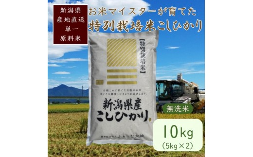 
                  お米マイスターが育てた特別栽培米 精米コシヒカリ 上越産 令和7年産 10kg(5kgx2袋)無洗米 ふぁーむ大地  JCCソフト
                