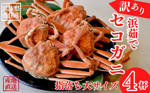 【訳あり 浜茹で セコガニ 香住産 大サイズ4匹入り 冷蔵】【先行予約】11月中旬以降順次発送 カニの本場 香住 濃厚なかにミソとやみつきになる内子、外子が絶品です 訳あり理由：指落ち1～2本 大人気