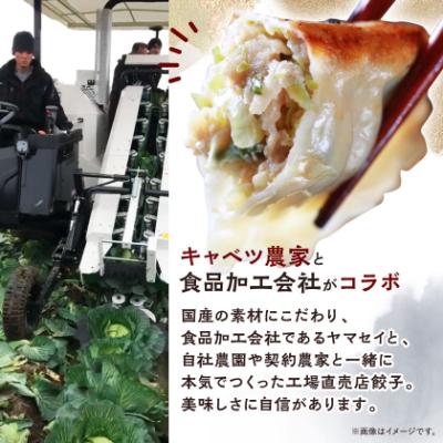 ふるさと納税 磐田市 【発送月固定定期便】秀餃子80個(40個×2箱)×隔月発送6回 静岡県磐田市 全6回 |  | 01