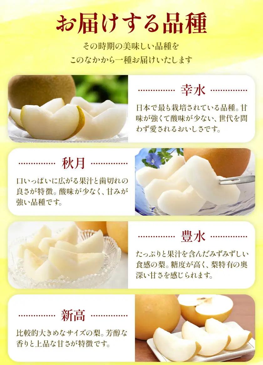 おまかせ梨 3㎏ 日本フルーツ株式会社 梨