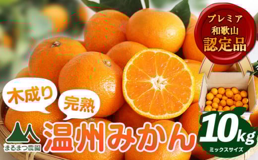 【先行予約】木成り完熟 温州 みかん ミックスサイズ 約 10kg まるまつ農園《2025年12月上旬-2026年1月末頃出荷》 和歌山県 日高川町 温州みかん みかん 完熟