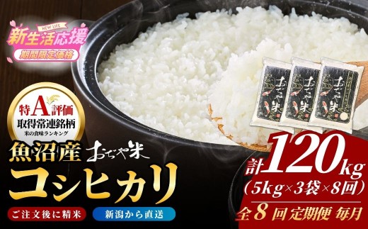 【8か月定期便 コシヒカリ】 令和7年産 新潟県 魚沼産コシヒカリ「おぢや米」合計120kg(5kg×3袋×毎月お届け全8回) JA魚沼 | 新潟産コシヒカリ 特A評価 魚沼産 新潟県産コシヒカリ 新潟県産こしひかり 魚沼コシヒカリ お米 米 こしひかり 白米 精米 ブランド米 特A評価地区【0002-JA24DB00】