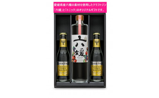 水口酒造 道後ジン「六媛」・トニックセット（G6-500）