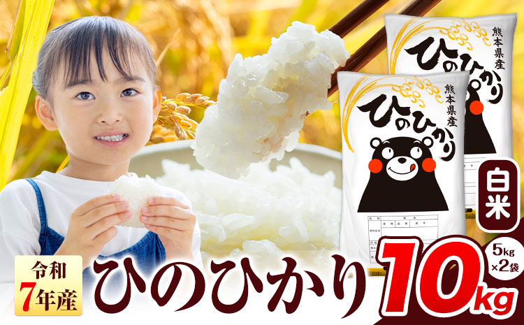 令和7年産 ひのひかり 白米 10kg 《7-14日以内に出荷予定(土日祝除く)》 熊本県産 白米 精米 氷川町 ひの 送料無料 ヒノヒカリ コメ 便利 ブランド米 お米 おこめ 熊本 SDGs---