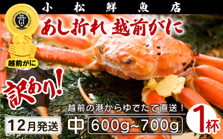 【訳あり】越前がに本場の越前町からお届け！足折れ 越前がに 浜茹で 中サイズ（生で600～700g） × 1杯【12月発送分】【かに カニ 蟹】【福井県 越前町 雄 ズワイガニ ボイル 冷蔵 越前ガニ 越前かに 越前カニ ずわいがに ずわい蟹 かに カニ 蟹】希望日指定可 備考欄に希望日をご記入ください [e23-x001_12]