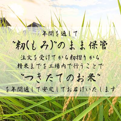 ふるさと納税 水戸市 令和7年産　茨城県産コシヒカリ　宝蔵米　20kg(10kg×2)精米 |  | 01