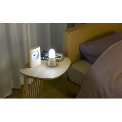 ふるさと納税 大河原町 照明 乾電池式LEDセンサーライト スタンドタイプ 昼白色 アイリスオーヤマ[53753126] |  | 03