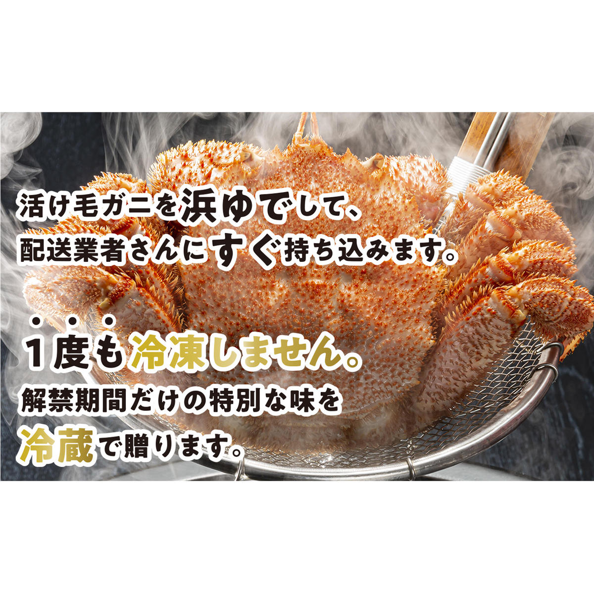 ＜2025年1月から順次発送＞【 定期便 全 3回 】 北海道産 浜ゆで 毛ガニ 3尾 × 3回 （ 計 9尾 ） ＜ 予約商品 ＞ 毛蟹 毛がに かに味噌 カニ味噌 新鮮 旬 ボイル 浜茹で 海鮮 