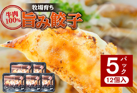 牧場育ち 牛肉100％旨み餃子（餃子12個パック×5） 餃子 ギョウザ ぎょうざ キャベツ 牛肉 ニラ ニンニク 12個 5パック おかず 惣菜 お惣菜 小分け パック 冷凍 ギフト グルメ お取り寄せ