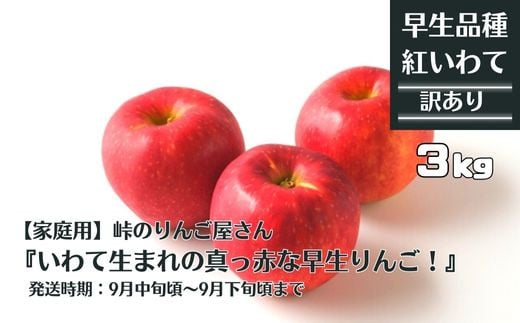 
            【家庭用】峠のりんご屋さん  紅いわて 3kg（10～12 玉入り）旬りんご
          