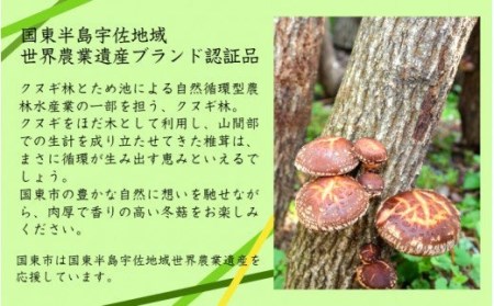 乾し椎茸 冬菇110g（国東半島宇佐地域世界農業遺産ブランド認証品） / 椎茸 しいたけ シイタケ 乾物 国産_1887R