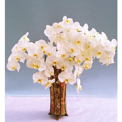 ふるさと納税 糸田町 胡蝶蘭切り花12束 80輪セット