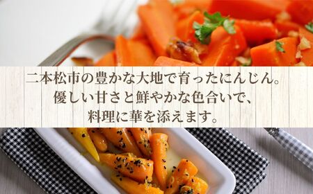 《2026年11月以降順次発送》人参5kg【一般社団法人二本松有機農業研究会】