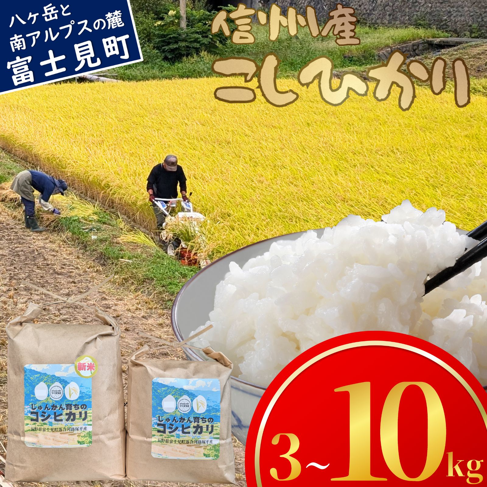 【ふるさと納税】先行予約 令和7年産 コシヒカリ 3kg 5kg 10kg 長野県富士見町落合河路塚平産 じゅんかん育ちのコシヒカリ お米 ライス 白米 精米 銘柄米 ブランド米 ご飯 炭水化物 お弁当 おにぎり 直送 ハゼかけ 天日干し 減農薬 減化学肥料 つくえラボ [10月中旬発送開始]