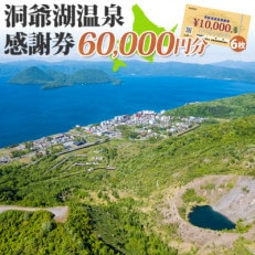 洞爺湖温泉感謝券 60,000円分 北海道 洞爺湖町