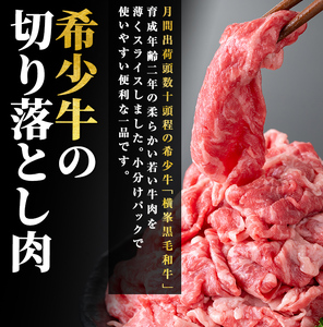 鹿児島県志布志市産横峯黒毛和牛の切り落とし肉(計500g・125g×4P) 鹿児島県産 国産 牛肉 牛 スライス 切り落とし 焼き肉 希少牛 小分け モモ ウデ バーベキュー BBQ すき焼き しゃぶ