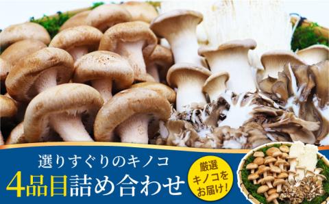 南島原産厳選きのこセット 4品目詰め合わせ / 南島原市 / 吉岡青果 [SCZ013]