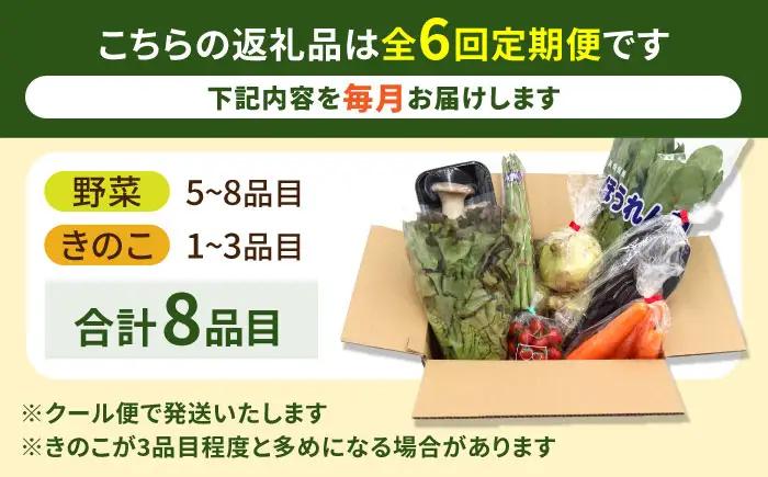 【6回定期便】お試し野菜セット 8品目 詰め合わせ / 野菜 やさい ヤサイ 旬 新鮮 / 南島原市 / 吉岡青果[SCZ029]
