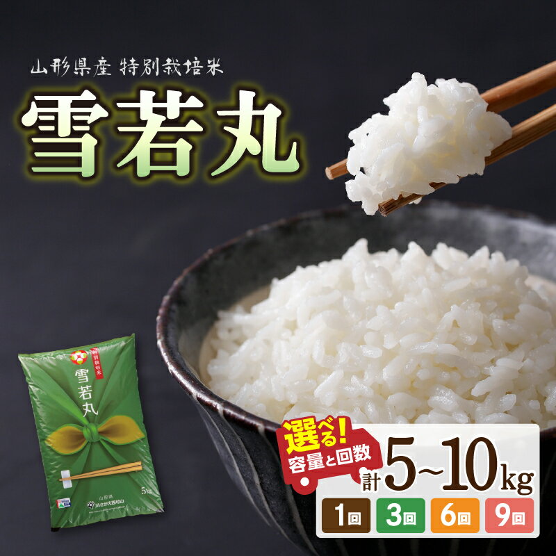 【ふるさと納税】 山形県産 特別栽培米 雪若丸 選べる内容量・配送回数(5kg～60kg) 令和7年産 2025年産米 米 ブランド米 お米 精米 単品 定期便