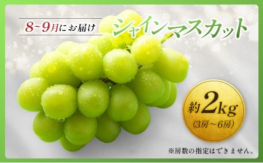 ＜2026年発送＞ フルーツ 定期便 太陽のタマゴ シャインマスカット 完熟 マンゴー ぶどう 先行予約 初夏 秋 旬 果物 全2回