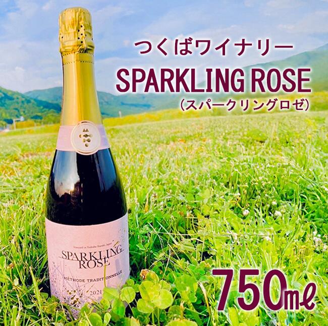 【ふるさと納税】つくばワイナリー SPARKLING ROSE(スパークリングロゼ) | お酒 葡萄 ぶどう ブドウ 茨城県 つくば市 ワイナリー ワイン スパークリングワイン ロゼワイン